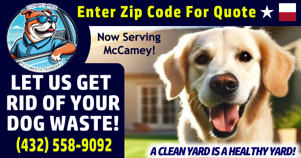 A professional cleaning pet waste in a yard